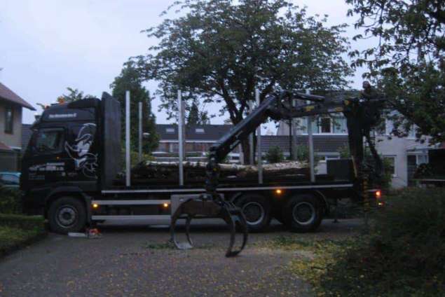 versnipperen van takken met een versnipperaar. in toaal 4 stuks bomen versnippert een eik berk en twee eiken in schijndel hovenier